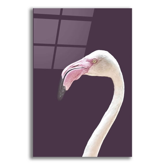 Epic Art 'The Flamingo' by Design Fabrikken, Acrylic Glass Wall Art, 16"x24"