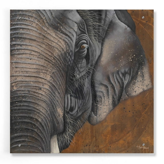 Epic Art 'The Gentlest Giant' by Britt Hallowell, Acrylic Glass Wall Art, 24"x24"