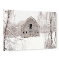 thumbnail image 1 of Epic Art 'The New Tenant' by Lori Deiter, Acrylic Glass Wall Art, 36"x24", 1 of 5