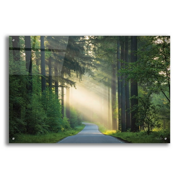Epic Art 'The Road' by Martin Podt, Acrylic Glass Wall Art, 36"x24"