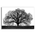 thumbnail image 1 of Epic Art 'The Tree' by John Jones, Acrylic Glass Wall Art, 24"x16", 1 of 8