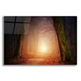 thumbnail image 1 of Epic Art 'The Unknown Path' by Epic Portfolio Acrylic Glass Wall Art, 24"x16", 1 of 8