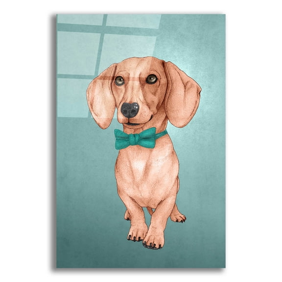 Epic Art 'The Wiener Dog' by Barruf Acrylic Glass Wall Art, 16"x24"