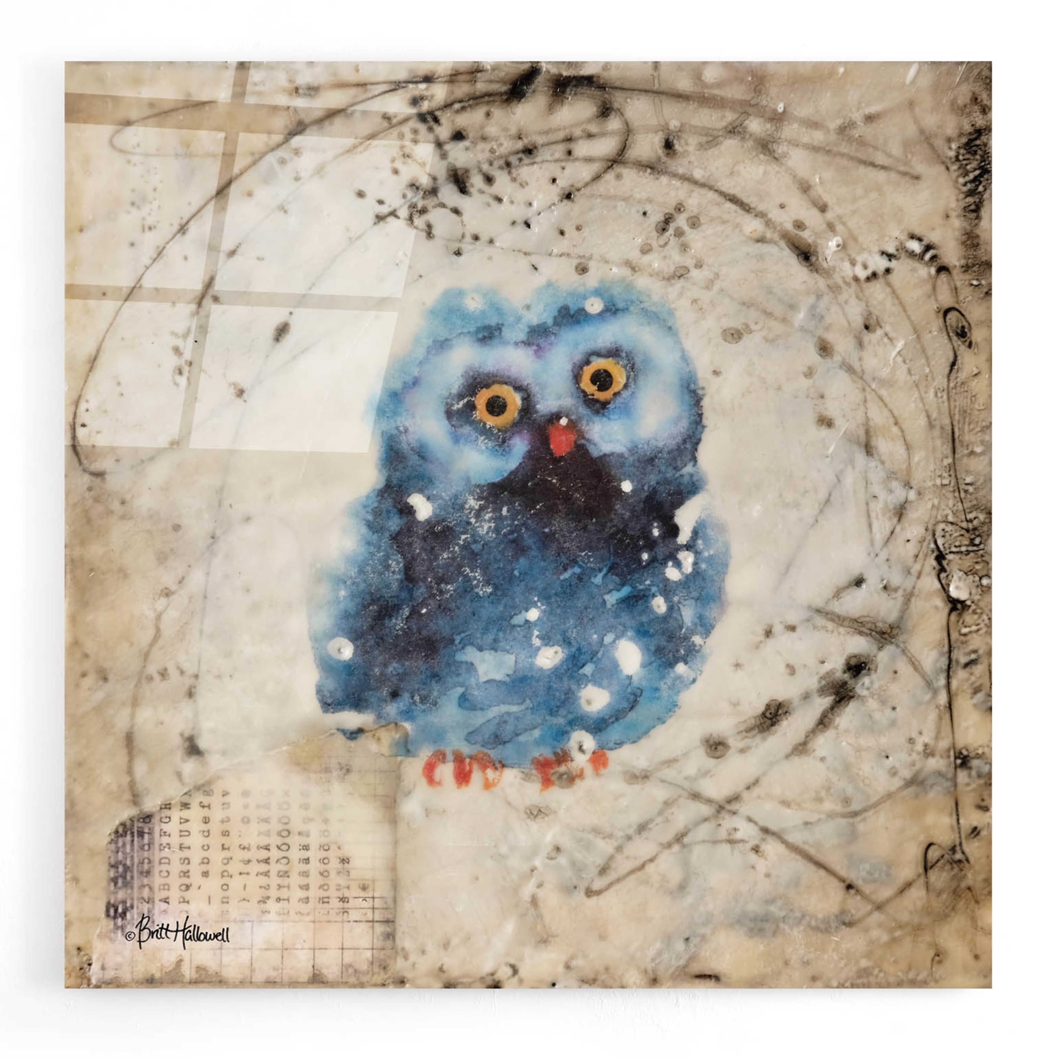 Blue and Beige Owl Canvas Art Print on Pine Frame