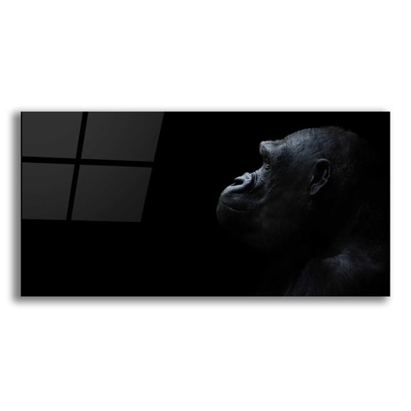 Epic Art 'Thinking Of Bored Apes' by Epic Portfolio, Acrylic Glass Wall Art, 24"x12"