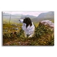 thumbnail image 1 of Epic Art 'Thoughtful Border Collie' by John Silver, Acrylic Glass Wall Art, 36"x24", 1 of 8