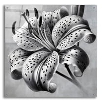 Epic Art 'Tiger Lily Flower' by Rey Klimt Acrylic Glass Wall Art, 36" x 36"