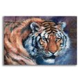 thumbnail image 1 of Epic Art 'Tiger Tales' by Robert Campbell, Acrylic Glass Wall Art, 16"x12", 1 of 8