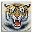thumbnail image 1 of Epic Art 'Tiger' by Harro Maass, Acrylic Glass Wall Art, 36"x36", 1 of 8