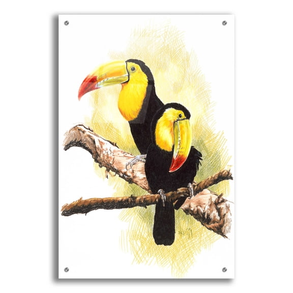 Epic Art 'Toucans' by Barbara Keith, Acrylic Glass Wall Art, 24"x36"