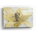 thumbnail image 1 of Epic Art 'Transparency Flower I' by Tim O'Toole, Acrylic Glass Wall Art, 24"x16", 1 of 3