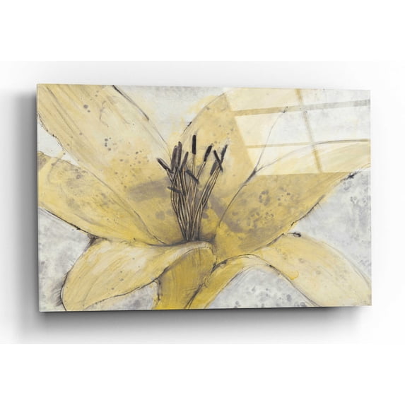 Epic Art 'Transparency Flower I' by Tim O'Toole, Acrylic Glass Wall Art, 24"x16"