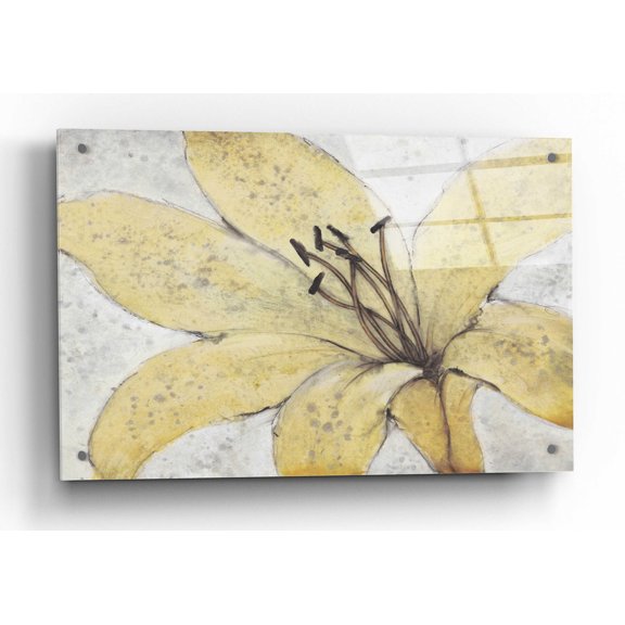 Epic Art 'Transparency Flower II' by Tim O'Toole, Acrylic Glass Wall Art, 36"x24"