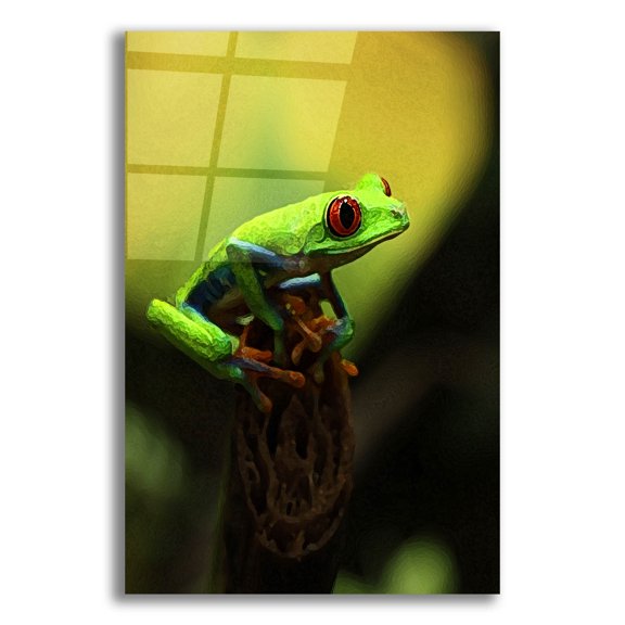 Epic Art 'Tree Frog' by Dana Brett Munach, Acrylic Glass Wall Art, 12"x16"