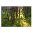 thumbnail image 1 of Epic Art 'Tree Sunset 1' by Joe Reimer Photography, Acrylic Glass Wall Art, 16"x12", 1 of 8