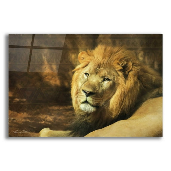 Epic Art 'Tribal Lion' by Lori Deiter Acrylic Glass Wall Art, 24"x16"