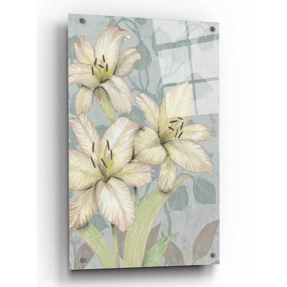 Epic Art 'Trois Fleurs I' by Tim O'Toole, Acrylic Glass Wall Art, 24"x36"