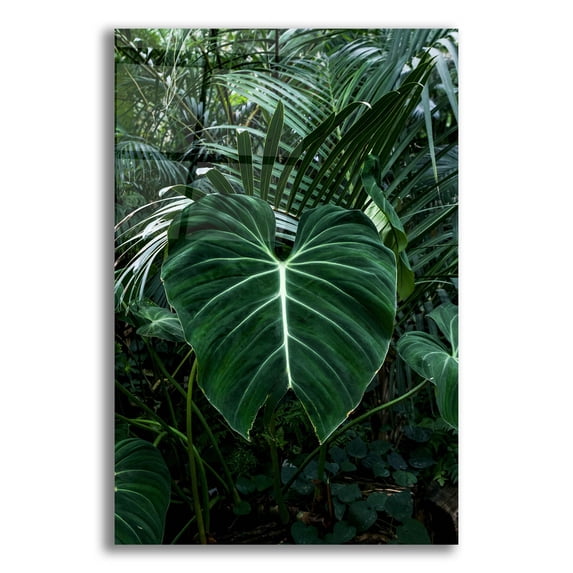 Epic Art 'Tropical 3' by Photoinc Studio, Acrylic Glass Wall Art, 16"x24"