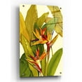 thumbnail image 1 of Epic Art 'Tropical Bird of Paradise' by Tim O'Toole, Acrylic Glass Wall Art, 24"x36", 1 of 3