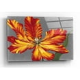 thumbnail image 1 of Epic Art 'Tulip Portrait II' by Tim O'Toole, Acrylic Glass Wall Art, 24"x16", 1 of 3