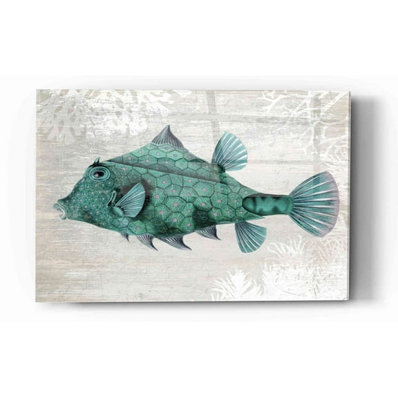 Epic Art 'Turquoise Turret Fish' by Fab Funky Acrylic Glass Wall Art, 12"x16"