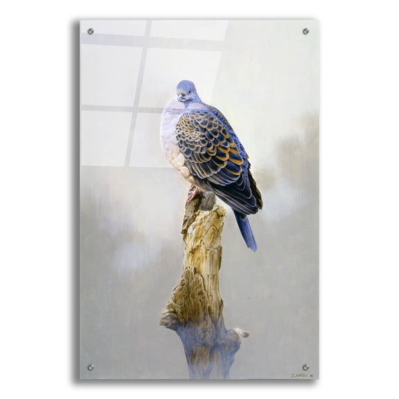 Epic Art 'Turtle Dove' by Joh Naito, Acrylic Glass Wall Art, 24"x36"