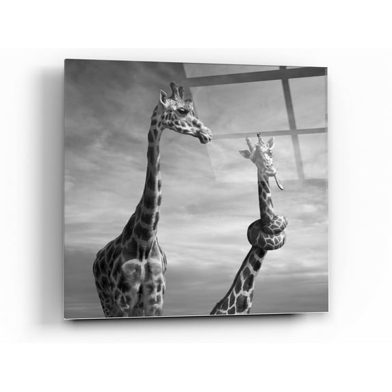 Epic Art 'Twisted Sister' by Dariusz Klimczak, Acrylic Glass Wall Art, 24"x24"