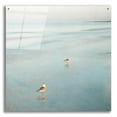 thumbnail image 1 of Epic Art 'Two Birds on Beach' by John Juracek, Acrylic Glass Wall Art, 36"x36", 1 of 8