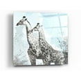 thumbnail image 1 of Epic Art 'Two Giraffes' by Linda Woods, Acrylic Glass Wall Art, 24"x24", 1 of 3