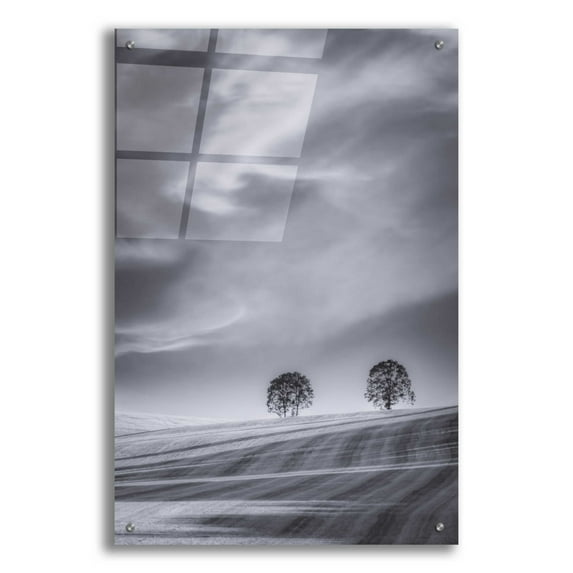 Epic Art 'Two Trees On A Hillside' by Don Schwartz, Acrylic Glass Wall Art, 24"x36"