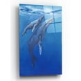 thumbnail image 1 of Epic Art 'Under Sea Whales I' by Tim O'Toole, Acrylic Glass Wall Art, 12"x16", 1 of 2