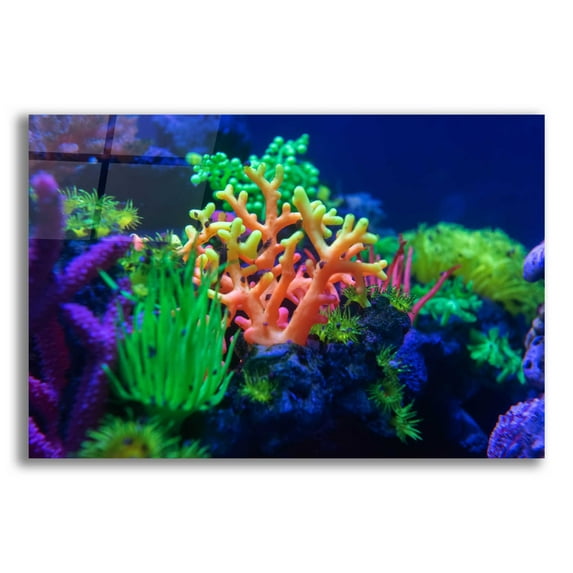 Epic Art 'Underwater Amazons' by Epic Portfolio Acrylic Glass Wall Art, 24"x16"