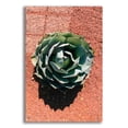 thumbnail image 1 of Epic Art 'Utah - Cactus 3' by Epic Portfolio, Acrylic Glass Wall Art, 24"x36", 1 of 8