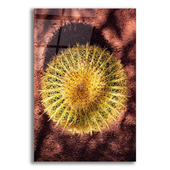 Epic Art 'Utah - Cactus' by Epic Portfolio, Acrylic Glass Wall Art, 12"x16"