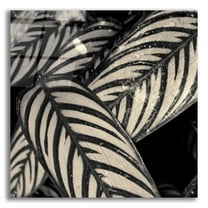 Epic Art 'Varigated Leaves No. 2' by Gary Horsfall, Acrylic Glass Wall Art, 36"x36"