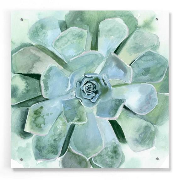 Epic Art 'Verdant Succulent III' by Victoria Borges, Acrylic Glass Wall Art, 24"x24"