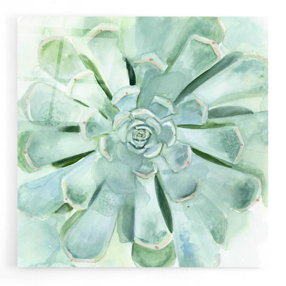 Epic Art 'Verdant Succulent IV' by Victoria Borges, Acrylic Glass Wall Art, 12"x12"
