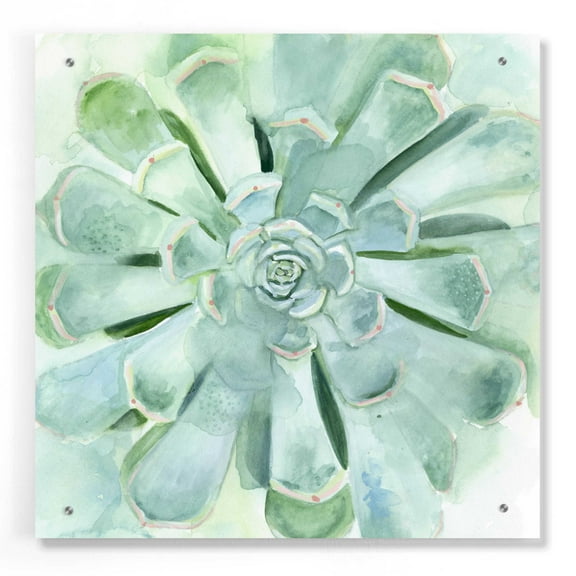 Epic Art 'Verdant Succulent IV' by Victoria Borges, Acrylic Glass Wall Art, 24"x24"