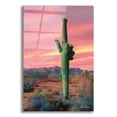 thumbnail image 1 of Epic Art 'Vibrant Cactus Sunset' by Lori Deiter, Acrylic Glass Wall Art, 12"x16", 1 of 8