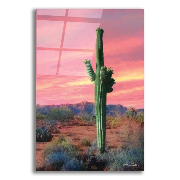Epic Art 'Vibrant Cactus Sunset' by Lori Deiter, Acrylic Glass Wall Art, 12"x16"