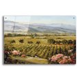 thumbnail image 1 of Epic Art 'Vineyards to Vaca Mountains' by Ellie Freudenstein, Acrylic Glass Wall Art, 36"x24", 1 of 8