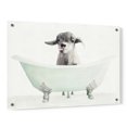 thumbnail image 1 of Epic Art 'Vintage Tub with Goat' by Stellar Design Studio, Acrylic Glass Wall Art, 36"x24", 1 of 5