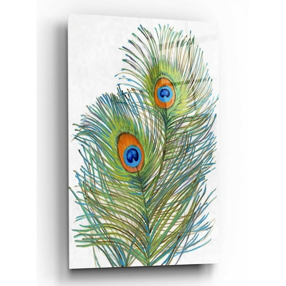 Epic Art 'Vivid Peacock Feathers I' by Tim O'Toole, Acrylic Glass Wall Art, 12"x16"