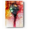 thumbnail image 1 of Epic Art 'W.O.U.N.D.S' by Mario Sanchez Nevado, Acrylic Glass Wall Art, 12"x16", 1 of 3