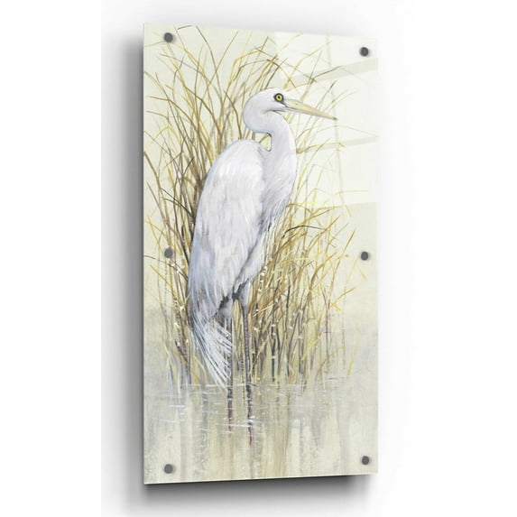 Epic Art 'Wading I' by Tim O'Toole, Acrylic Glass Wall Art, 24"x48"