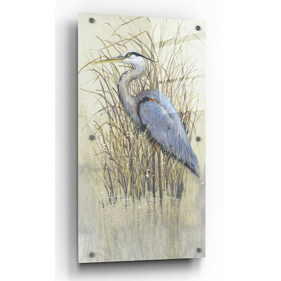 Epic Art 'Wading II' by Tim O'Toole, Acrylic Glass Wall Art, 24"x48"