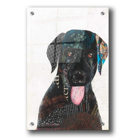 Epic Art 'Wanna Play IV' by Courtney Prahl, Acrylic Glass Wall Art, 24"x36"