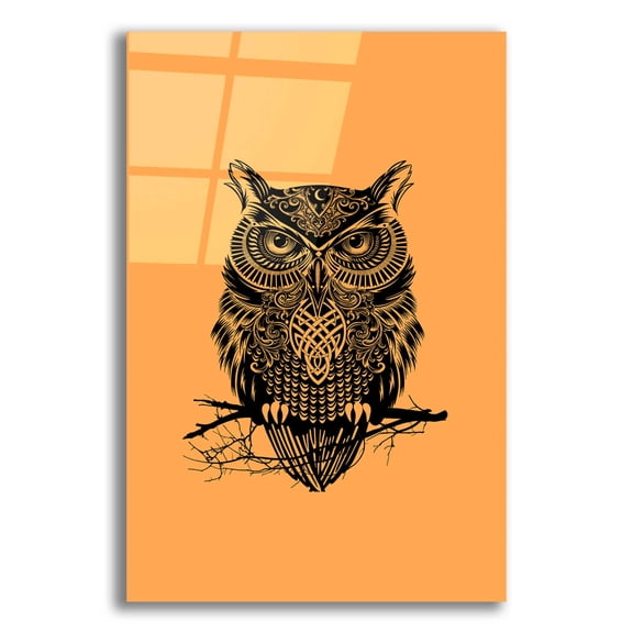 Epic Art 'Warrior Owl On Orange' by Rachel Caldwell, Acrylic Glass Wall Art, 16"x24"