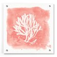 thumbnail image 1 of Epic Art 'Water Coral Cove III' by Lisa Audit, Acrylic Glass Wall Art, 36"x36", 1 of 7