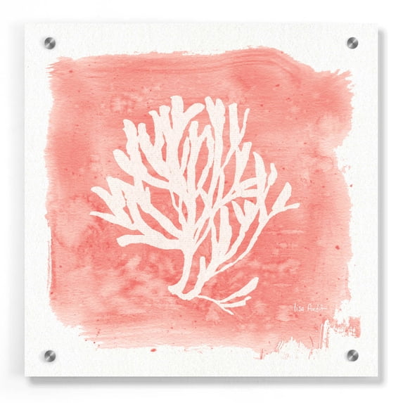Epic Art 'Water Coral Cove III' by Lisa Audit, Acrylic Glass Wall Art, 36"x36"
